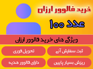 buy cheap followers 100number