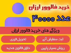 buy cheap followers 40000number