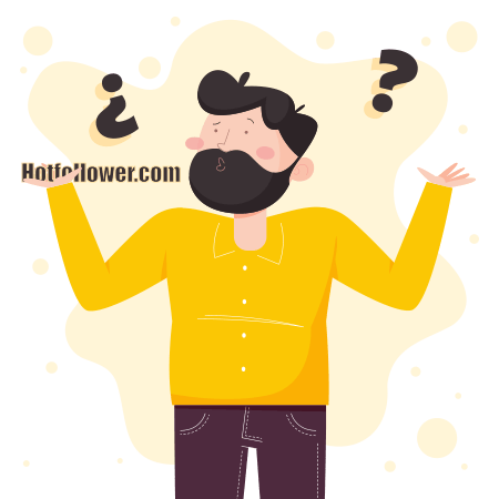 سوالات خرید بازدید اینستاگرام